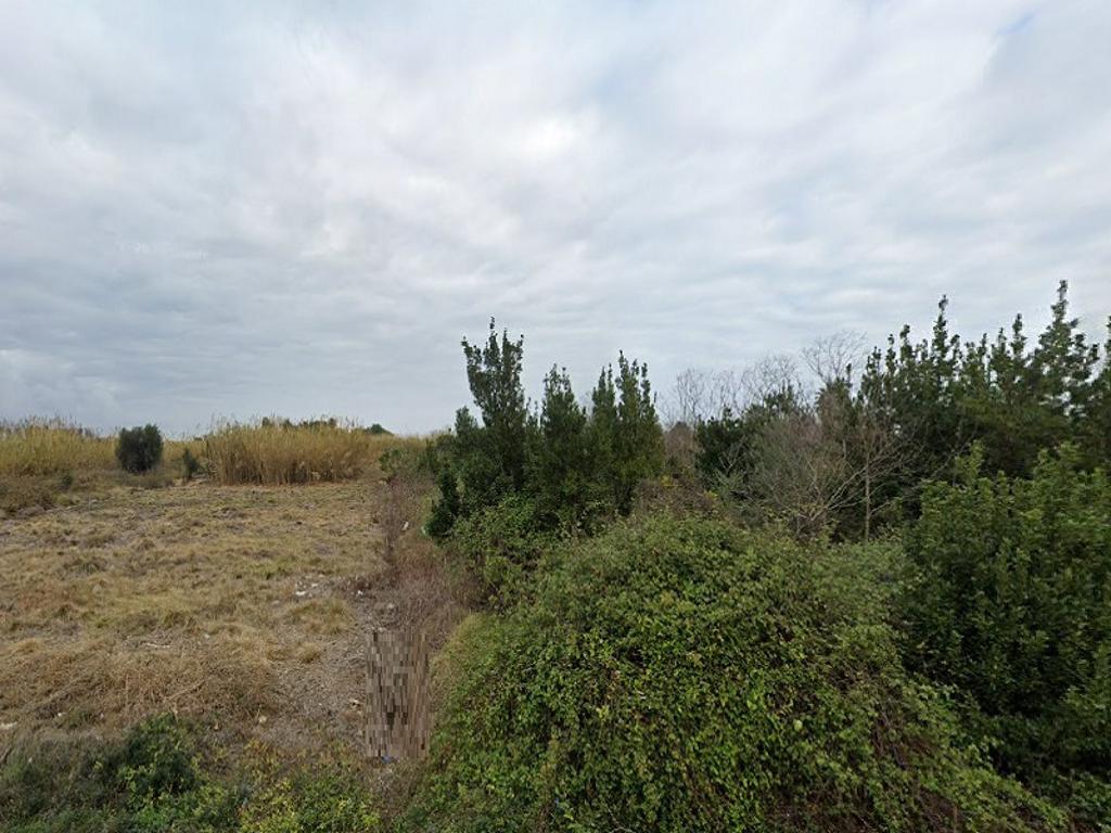 sin filtros for sale in c partida envich pol 6 oliva valencia